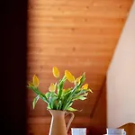 Bodensee Apartments, Sauna, Walks, Free Parking, Self Checkin, Nature Reserve, Restaurants Nearby Apartamento Gaissau (Bregenz)