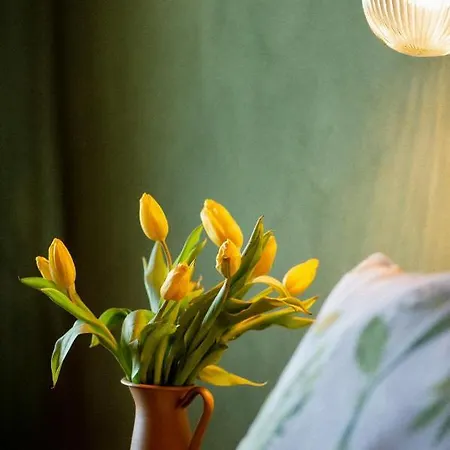 Appartement Bodensee Apartments, Sauna, Walks, Free Parking, Self Checkin, Nature Reserve, Restaurants Nearby