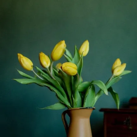 Bodensee Apartments, Sauna, Walks, Free Parking, Self Checkin, Nature Reserve, Restaurants Nearby Appartement Gaissau (Bregenz)