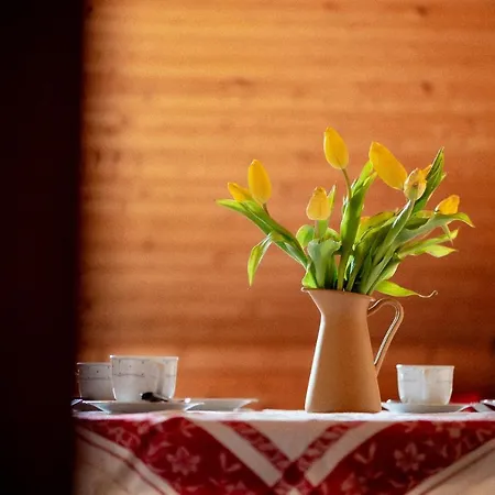Bodensee Lakeside Retreat: Sauna, Nature, And Self-check-in Gaissau (Bregenz)