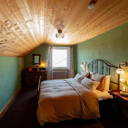 Bodensee Lakeside Retreat: Sauna, Nature, And Self-check-in Gaissau (Bregenz)