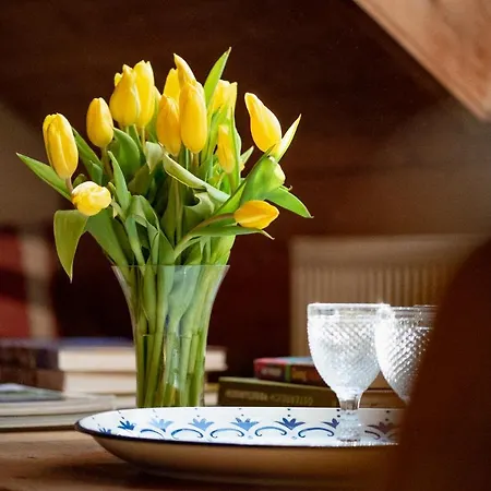 Bodensee Lakeside Retreat: Sauna, Nature, And Self-check-in