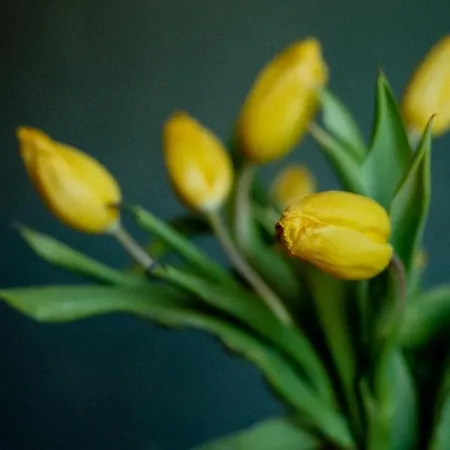 Appartement Bodensee Apartments, Sauna, Walks, Free Parking, Self Checkin, Nature Reserve, Restaurants Nearby *