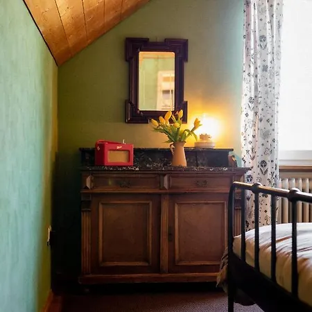 Bodensee Apartments, Sauna, Walks, Free Parking, Self Checkin, Nature Reserve, Restaurants Nearby