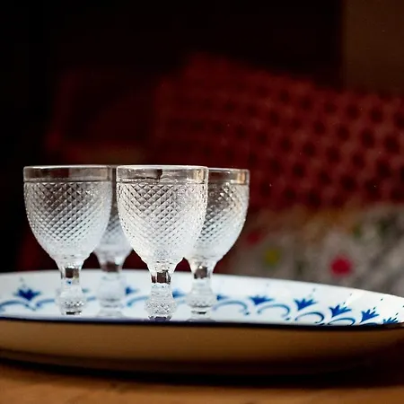 Bodensee Apartments, Sauna, Walks, Free Parking, Self Checkin, Nature Reserve, Restaurants Nearby *