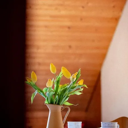 Bodensee Lakeside Retreat: Sauna, Nature, And Self-check-in Apartment Gaissau (Bregenz)