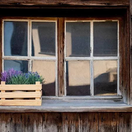 Bodensee Lakeside Retreat: Sauna, Nature, And Self-check-in * Gaissau (Bregenz)