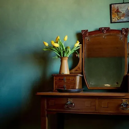 Bodensee Apartments, Sauna, Walks, Free Parking, Self Checkin, Nature Reserve, Restaurants Nearby Gaissau (Bregenz)