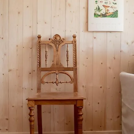 Bodensee Apartments, Sauna, Walks, Free Parking, Self Checkin, Nature Reserve, Restaurants Nearby * Gaissau (Bregenz)