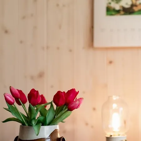 Apartment Bodensee Lakeside Retreat: Sauna, Nature, And Self-check-in *