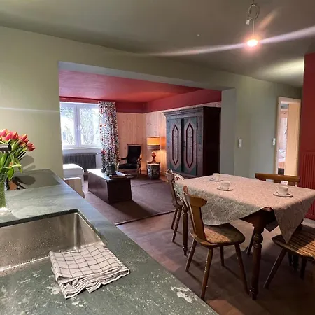 Bodensee Apartments, Sauna, Walks, Free Parking, Self Checkin, Nature Reserve, Restaurants Nearby * Gaissau (Bregenz)