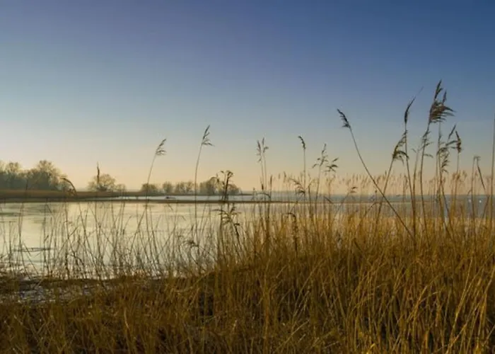 Apartment Bodensee Lakeside Retreat: Sauna, Nature, And Self-check-in