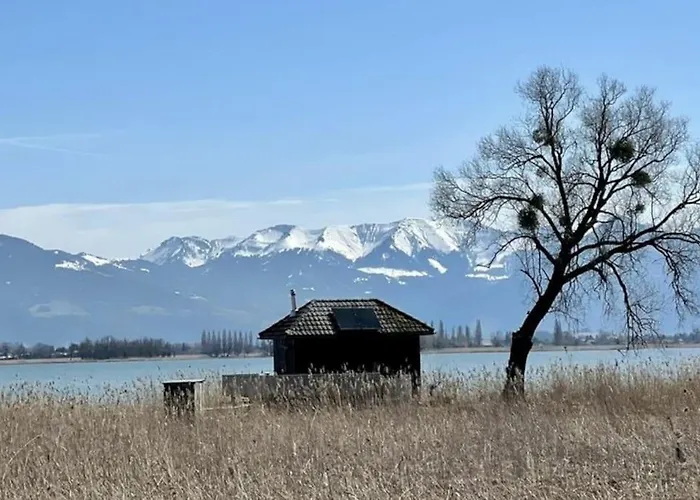 Bodensee Lakeside Retreat: Sauna, Nature, And Self-check-in Apartment *