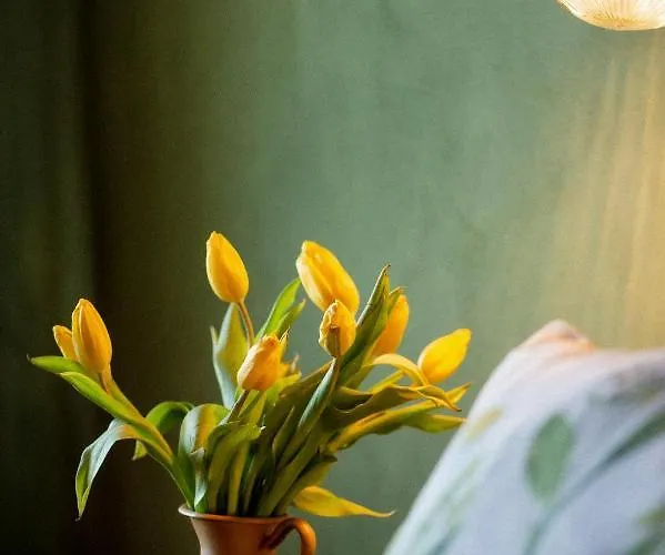 Apartment Bodensee Lakeside Retreat: Sauna, Nature, And Self-check-in