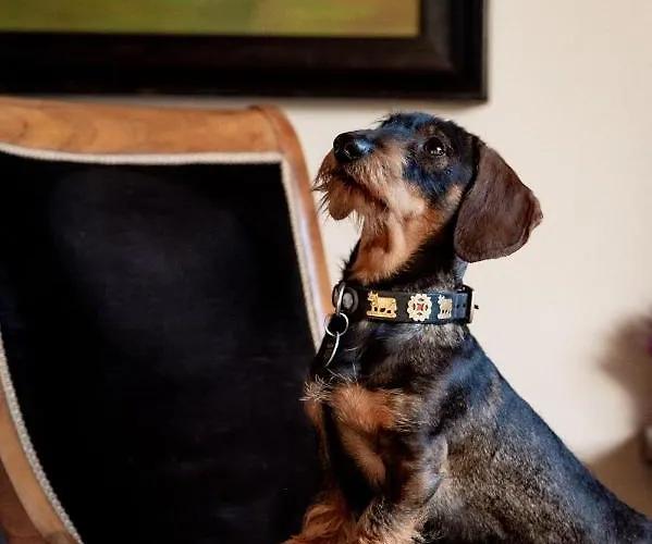 Bodensee Lakeside Retreat: Sauna, Nature, And Self-check-in