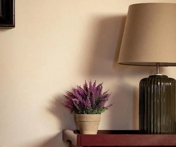 Bodensee Lakeside Retreat: Sauna, Nature, And Self-check-in Apartment