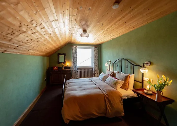 Bodensee Lakeside Retreat: Sauna, Nature, And Self-check-in Gaissau (Bregenz)