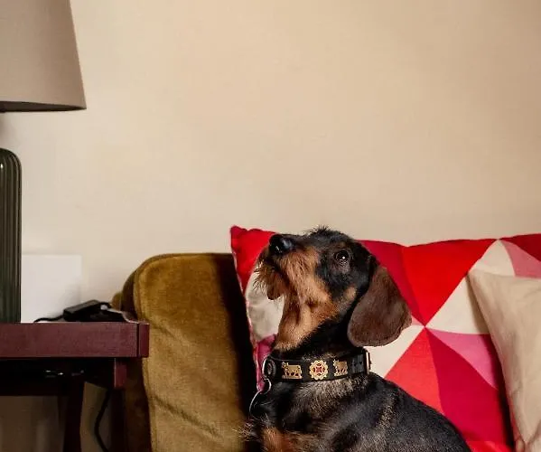 Bodensee Lakeside Retreat: Sauna, Nature, And Self-check-in Apartment