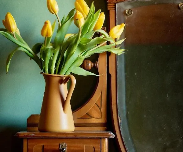 Apartment Bodensee Lakeside Retreat: Sauna, Nature, And Self-check-in Gaissau (Bregenz)