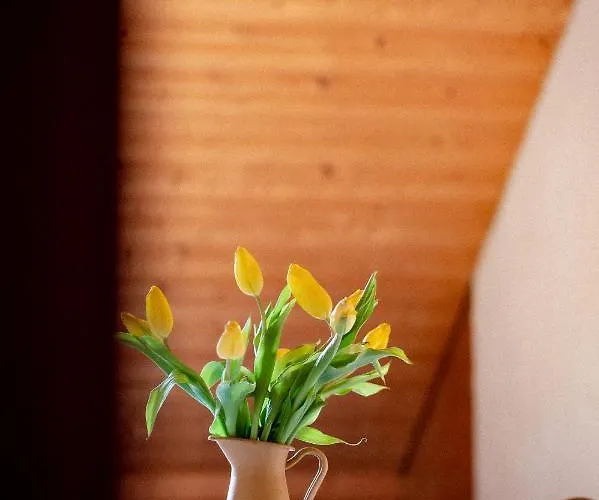 Bodensee Lakeside Retreat: Sauna, Nature, And Self-check-in Apartment Gaissau (Bregenz)