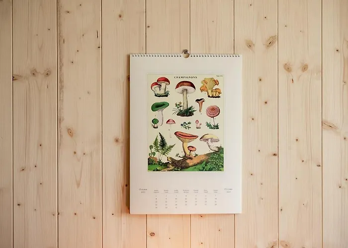 Bodensee Lakeside Retreat: Sauna, Nature, And Self-check-in Gaissau (Bregenz)